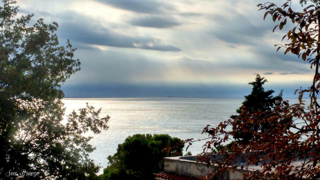 Sea Breeze - Barcola Lägenhet Trieste Exteriör bild